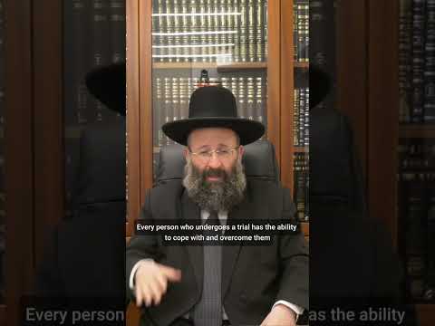 פרשת השבוע - פרשת לך לך