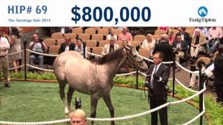 Before They Were Stars: ROYAL OBSESSION at the Saratoga Sale (2014) Profile