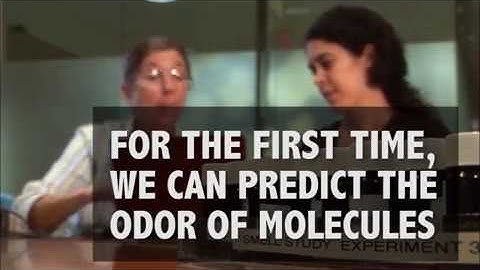 IBM Research: Predicting how molecules smell