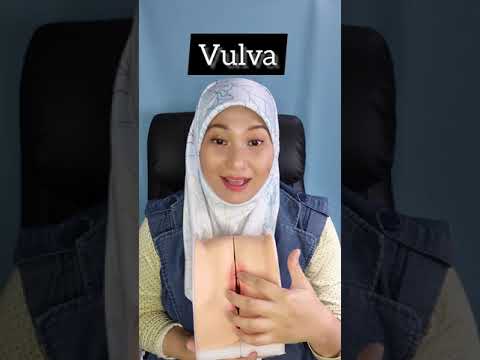 Video: Apa jenis kelamin biologis?