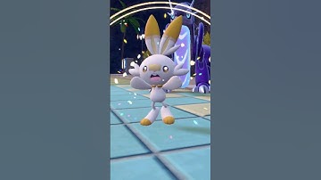 A Shiny Starter Pokémon that took way too many eggs…