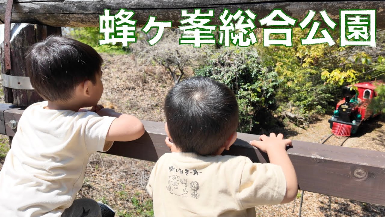 山口県にある蜂ヶ峯総合公園に遊びに行ったよ！ミニSLもあって子供達も嬉しそうだった！