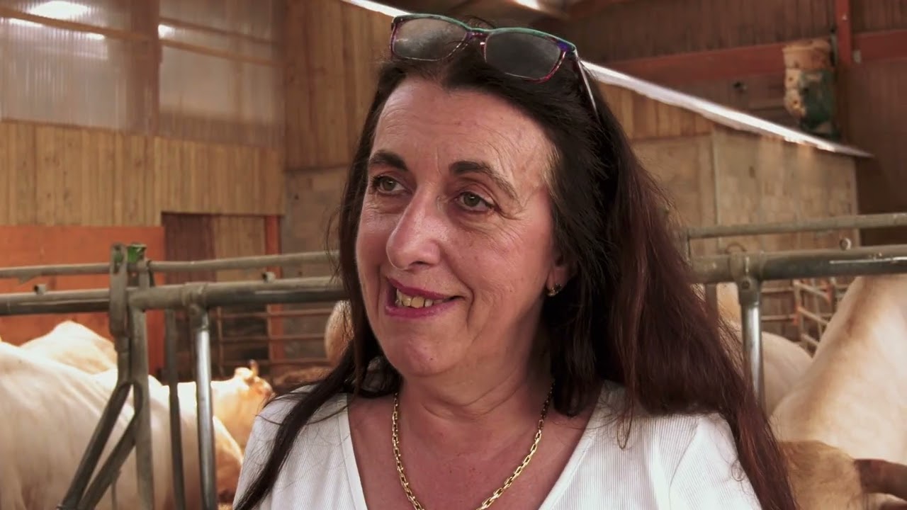 Sillon d'avenir | La vente directe de viande à La Ferme de Grand'Maison