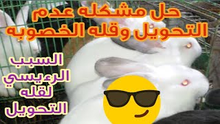 السبب الرءيسي لقله التحويل وضعف الخصوبه والحل موجود في الفديو