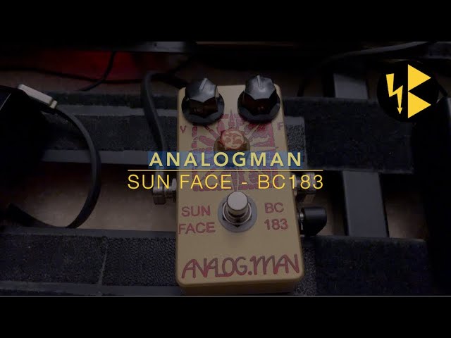 Analogman - Sun Face BC183 [First Impressions - Dialing It In