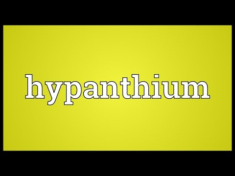 Header of hypanthium