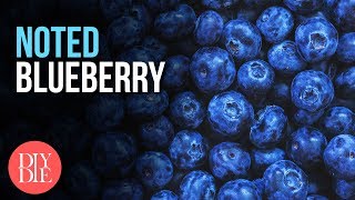 Blueberry ft. Kindground 🔵 [ Noted: Ep. 81 ]