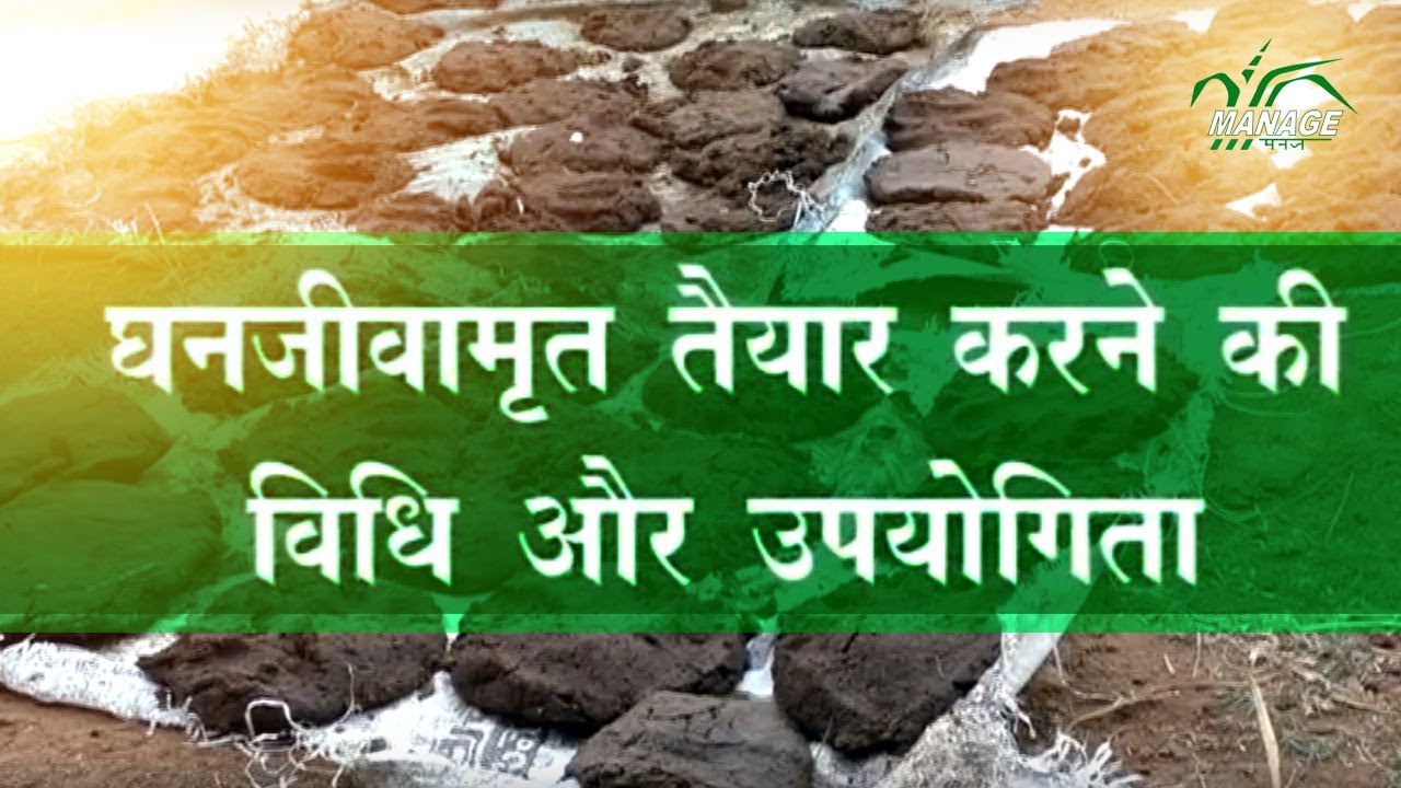 Ghana jeevamruth (Hindi)