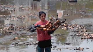 Meimei Dug Out Giant Lotus Root! It was So Delicious to Make Soup!