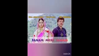 Janam Meri Janam  || Mr. Bechara 1996 Movie | Anil Kapoor || Sri Devi || audio song  | Kumar Sanu ||
