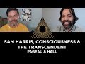 Sam Harris, consciousness & the transcendent, Jonathan Pageau & Jordan Hall