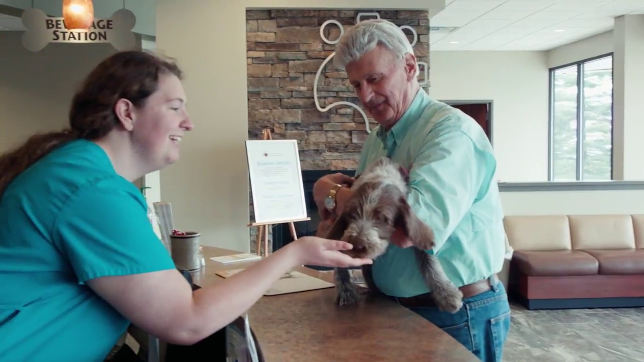 Good Hope Animal Hospital Intro 2018 YouTube