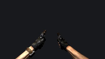 {3DS Max} CZ75 Dual-Wield animation reel.