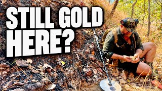 Nobody Ever Comes Out Here Prospecting For GOLD NUGGETS… Maybe They Should
