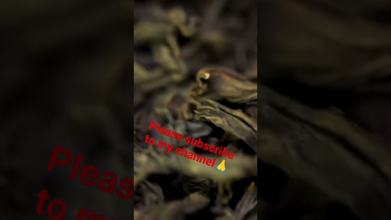 A short video on how tea is made from the tea plant 