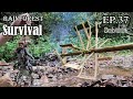 Thử Thách Sinh Tồn Trong Rừng Mưa Một Mình -EP.37 |Survival Alone In The Rainforest
