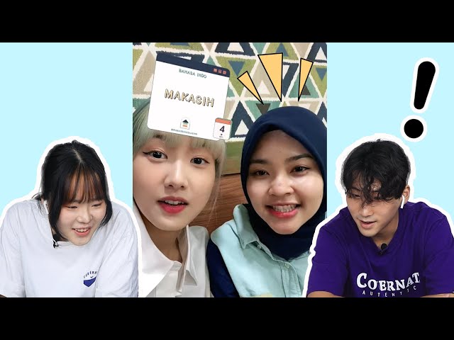 Bukankah dia orang Korea?| Korean reaction to Indonesian speak Korean TikTok class=