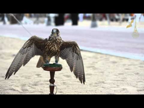 لقطات من درب الساعي احتفالات اليوم الوطني لدولة قطر 2015