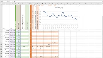 Module 4 SAM Project