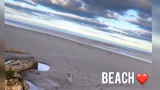 WHO ELSE LOVES A BEACH WALK 🌊 #doglife #family #love by Maggies Houz 37 views 6 months ago 1 minute, 18 seconds