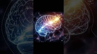 The observer effect: how your perspective changes the reality around you!
