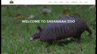 Browsing through the Website - Savannah Zoo Website Usage Demo Video screenshot 4