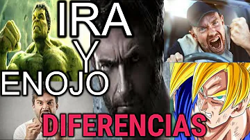 ¿Cuál es la diferencia entre ira y rabia?