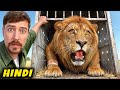 I Saved 1,000 Animals From Dying Hindi 🐘 | MrBeast Hindi New Video 2025 | मिस्टर बीस्ट हिंदी वीडियो