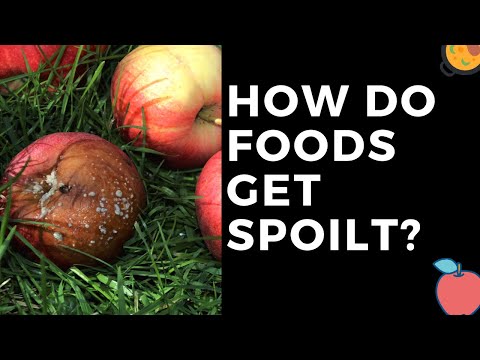 Video: De ce se produce ușor alterarea alimentelor?