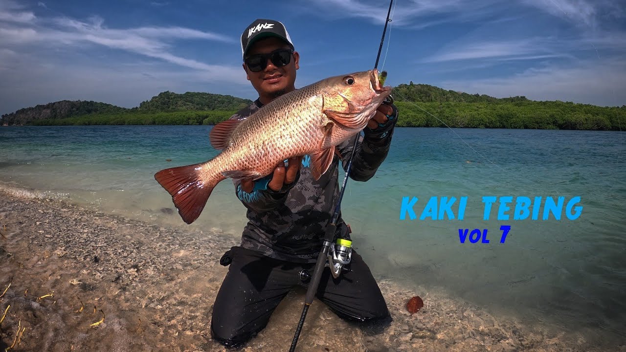 MENDUGA PENGHUNI TEBING BERPASIR