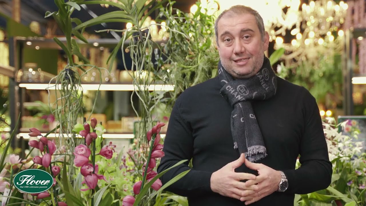 Il Cymbidium | Consigli e coltivazione