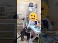 طالع حاضينة لانهربو ليه Shortvideo Cat Fouryoupage قطط Catsoftiktok طالع حاضينة لانهربو ليه Shortvideo Cat Fouryoupage قطط Catsoftiktok