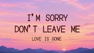 Slander ft. Dylan Matthew | I'm Sorry Don't Leave Me | Love Is Gone | ( lyrics )