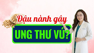 5 Công dụng bất ngờ của đậu nành, liệu đậu nành có gây ung thư vú như lời đồn không - Bác sĩ Nguyên