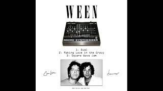 Ween - Electro Harmonix Micro Synth Demo
