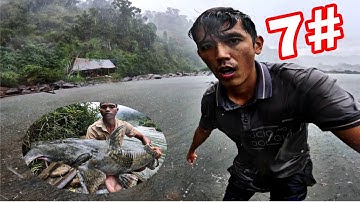 SĂN Cá Rừng Mưa | 7 Ngày Ngủ Trong Rừng Hái Rau - Bắt Cá - Tìm Thức Ăn