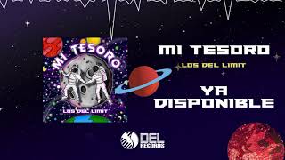 Miniatura de vídeo de "Mi Tesoro - (Audio Oficial) - Los De Limit - DEL Records 2021"