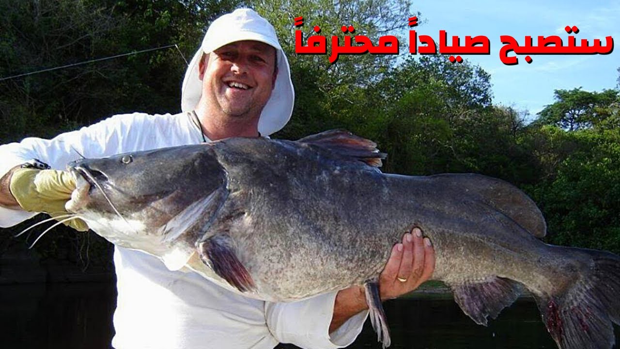 طريقه صيد الكركور أطعم وألذ أسماك نهر النيل