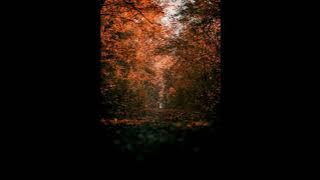 OMAY PETIK feat NADA GIOFANNY - PERGI HILANG DAN LUPAKAN (LIRIK)