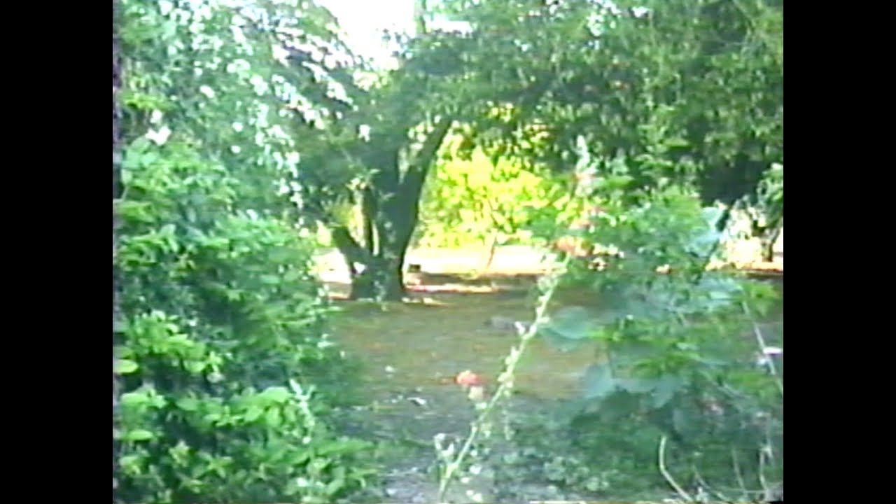 Over 2 Hours of Study Music(Albums #1-5) Ambient VHS by Freaky Majestic