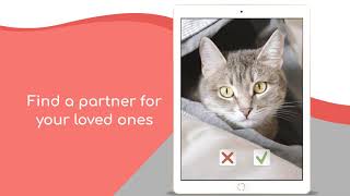 pet mating  The Pet Breeding App - Find the Perfect Mate for Your Furry Friend screenshot 5