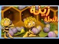 مايا النحلة - رخصة الطيران