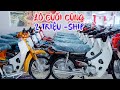 GIÁ XE DREAM WAVE ANPHA SIURIUS FUTURE 125 XE  50CC GIÁ SỐC 2 TRIỆU SHIP XE MÁY GIÁ RẺ HỮU TÌNH