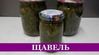ЩАВЕЛЬ на зиму Консервированный Заготовка ЗЕЛЕНИ ЩАВЕЛЬ на зиму Консервированный Заготовка ЗЕЛЕНИ