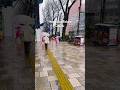 It was a beautiful snowy day ☃️❄️ #tokyo #shortsfeed #japan #tiktok #foryou #newyear2026