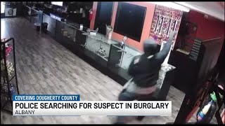 Albany Police searching for bat-wielding burglar