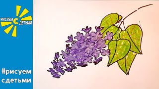 Как нарисовать СИРЕНЬ (ВЕСНА). Рисуем с детьми. How to draw SPRING FLOWERS.