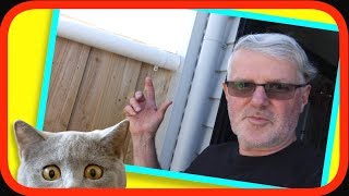 Cat Proof Fence | Cheap & Easy with PVC Pipe | How to DIY