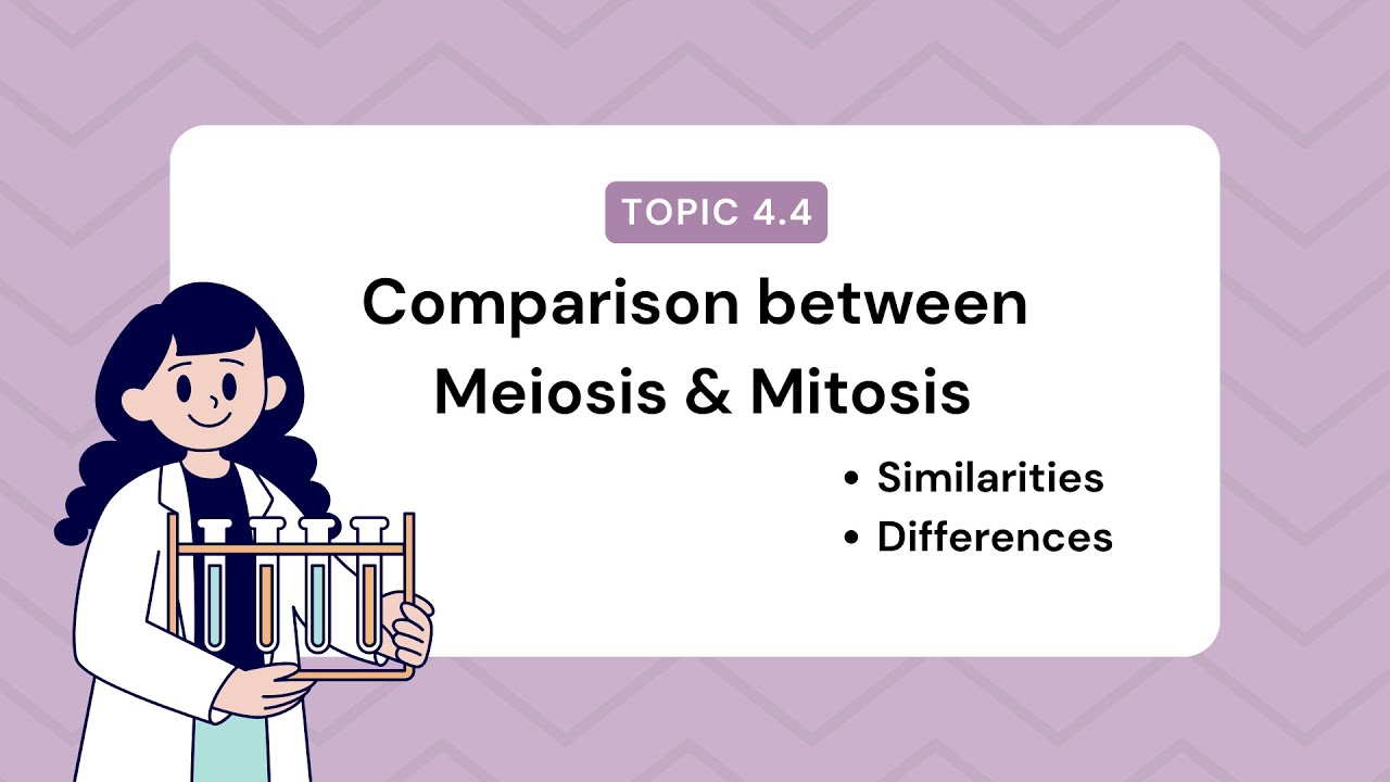 Topic 4.4 | Comparison between mitosis & meiosis | Chapter 4| Cell cycle | Class 9 Biology