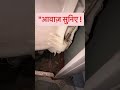 "Nachne wali Washing Machine! 💃 Gad-Gad Sound ❌"#Manoj atoz